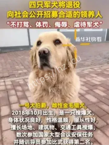退役军犬领养事件