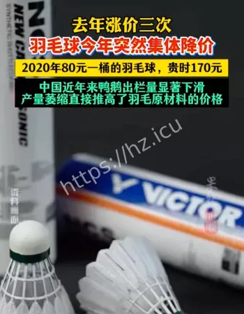 羽毛球降价